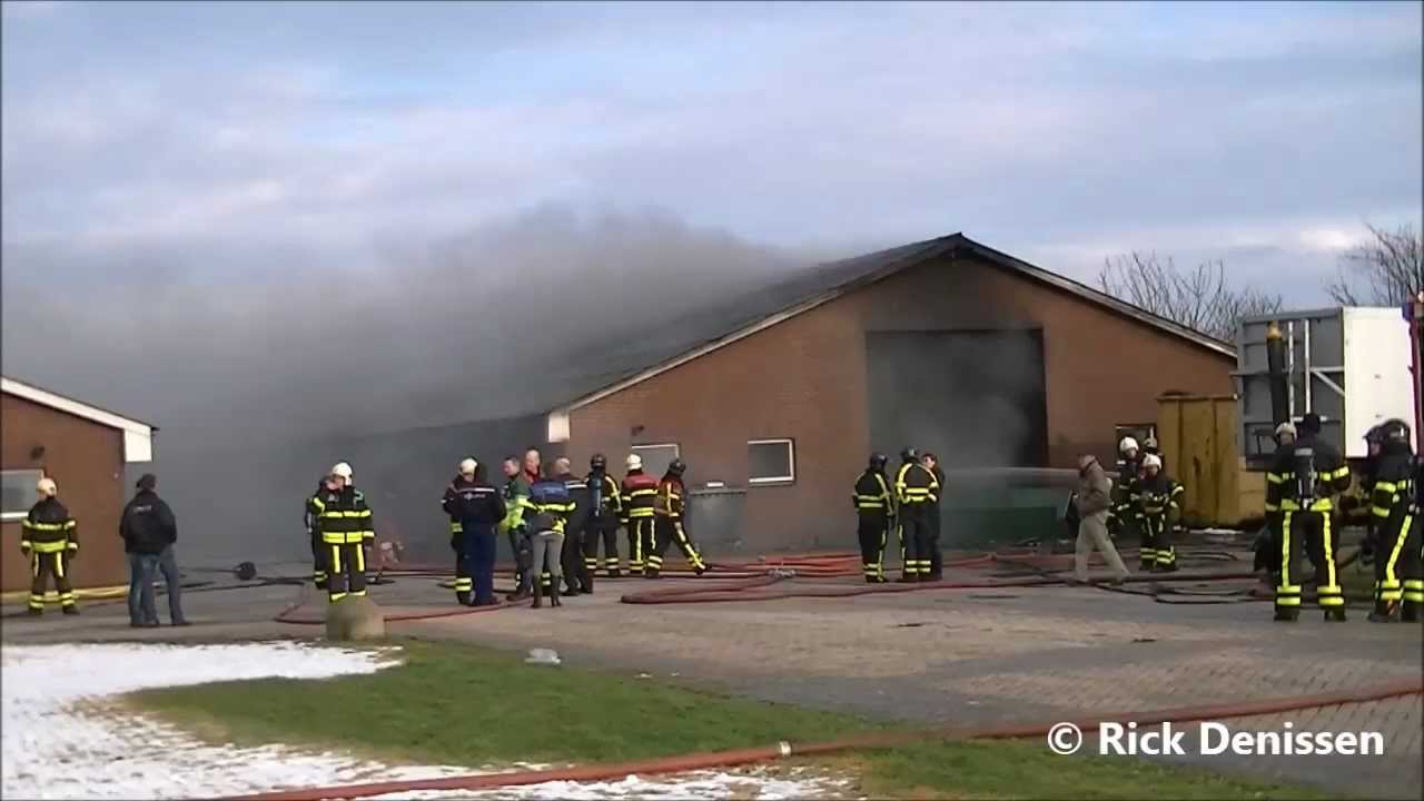 Zeer grote brand in stal met 20.000 varkens aan de Servennenstraat in Moergestel, 09-02-2013