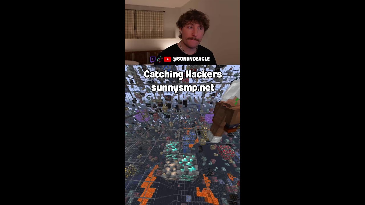 Catching hackers on sunnysmp.net (Portrait)