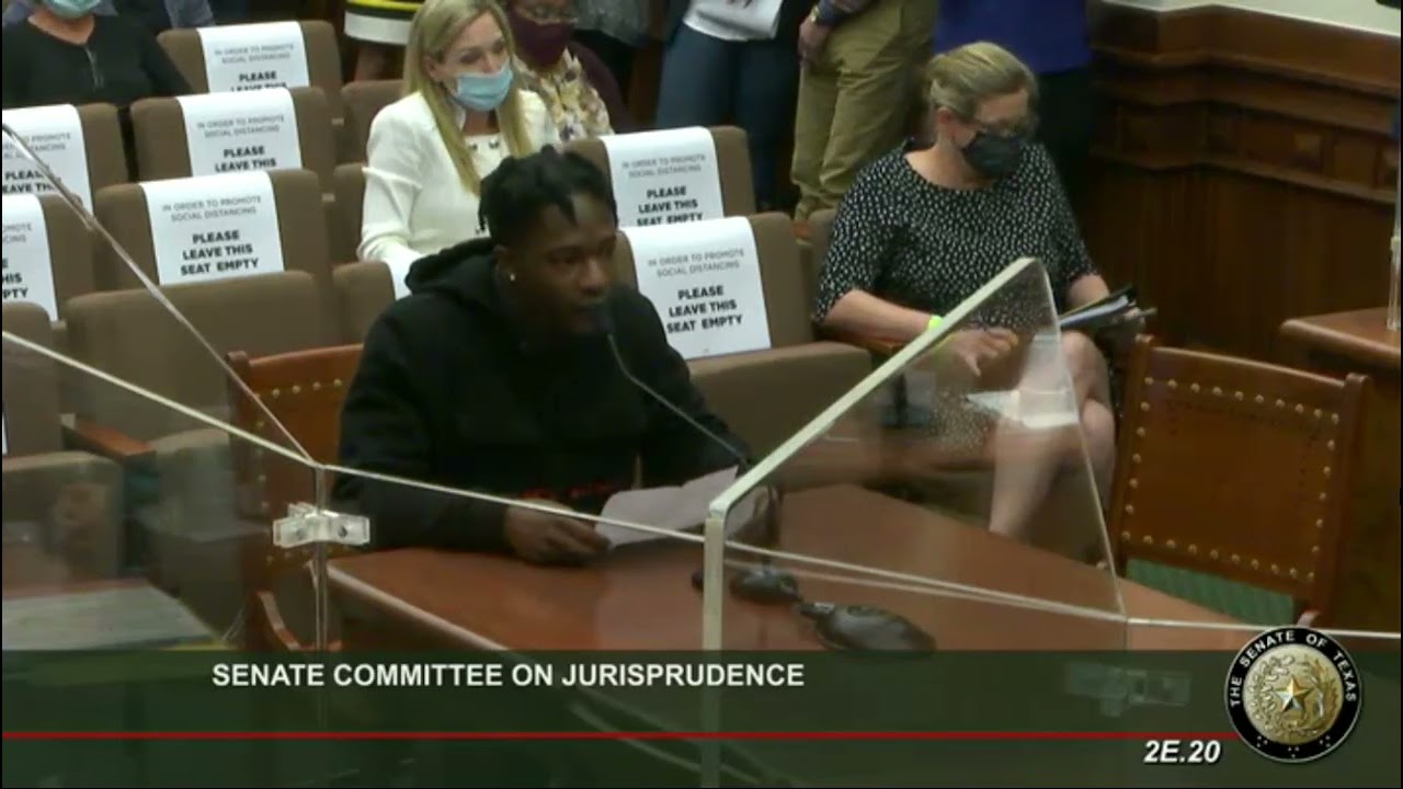 Glenn Hayes testifies AGAINST SB 21 at Senate Committee on Jurisprudence (2021)