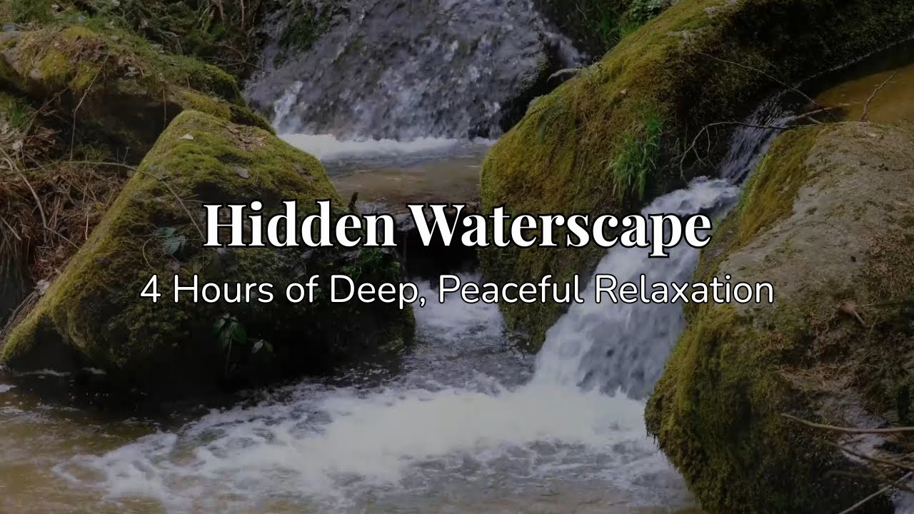 Hidden Waterscape 🌊 Gentle Flowing Water & Calm Nature Ambience for Sleep & Relaxation