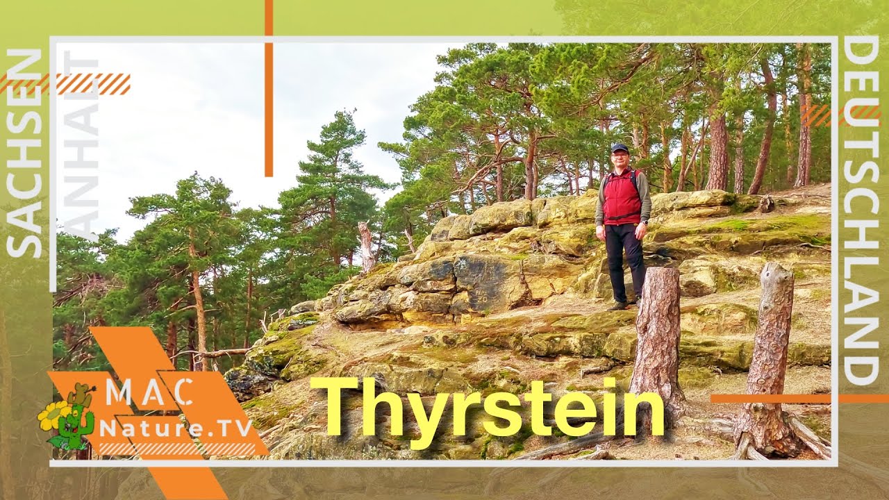 Derenburg Thyrstein Runde - Harz