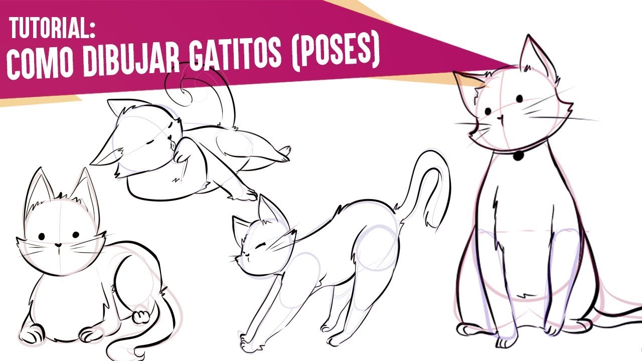 ✎COMO DIBUJAR GATITOS | DISTINTAS POSES | BGM94