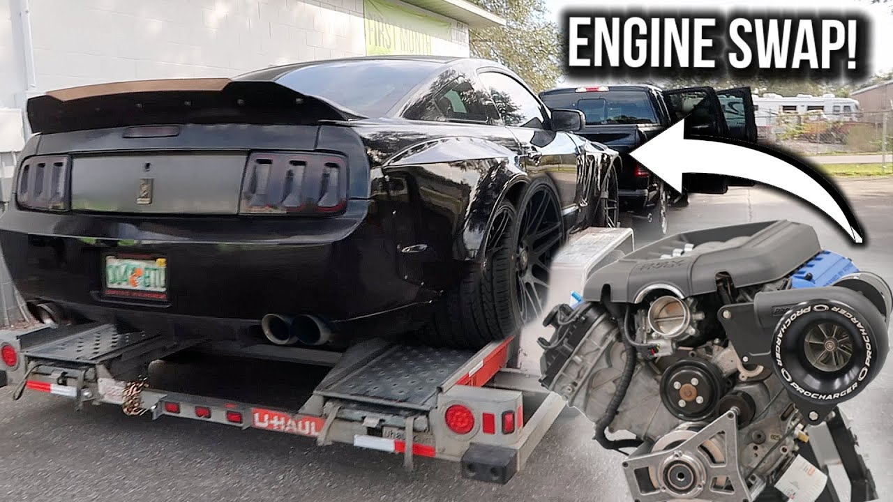 COYOTE SWAPPING A COYOTE SWAP MUSTANG! *BACK TO LIFE!!*