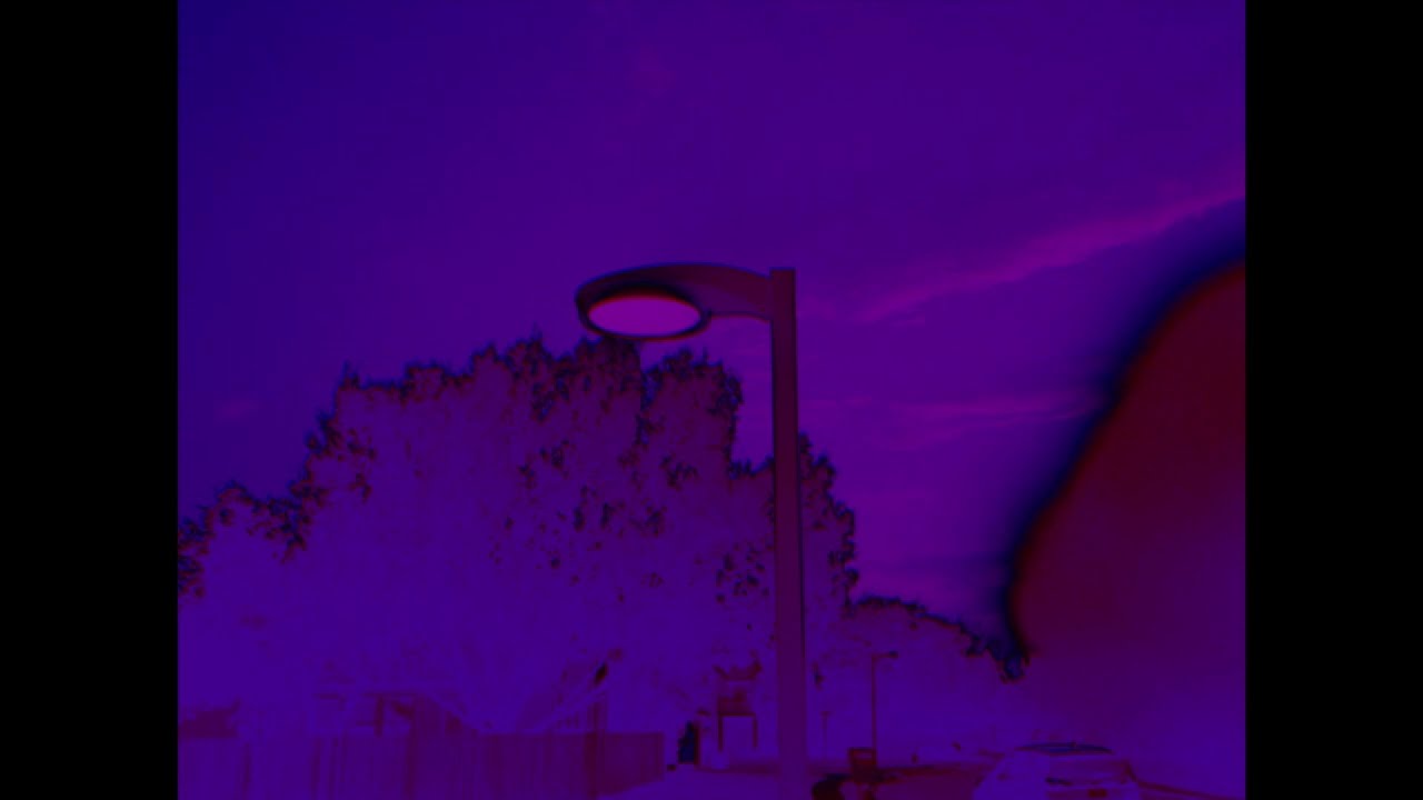 03.06.26 - purple everywhere