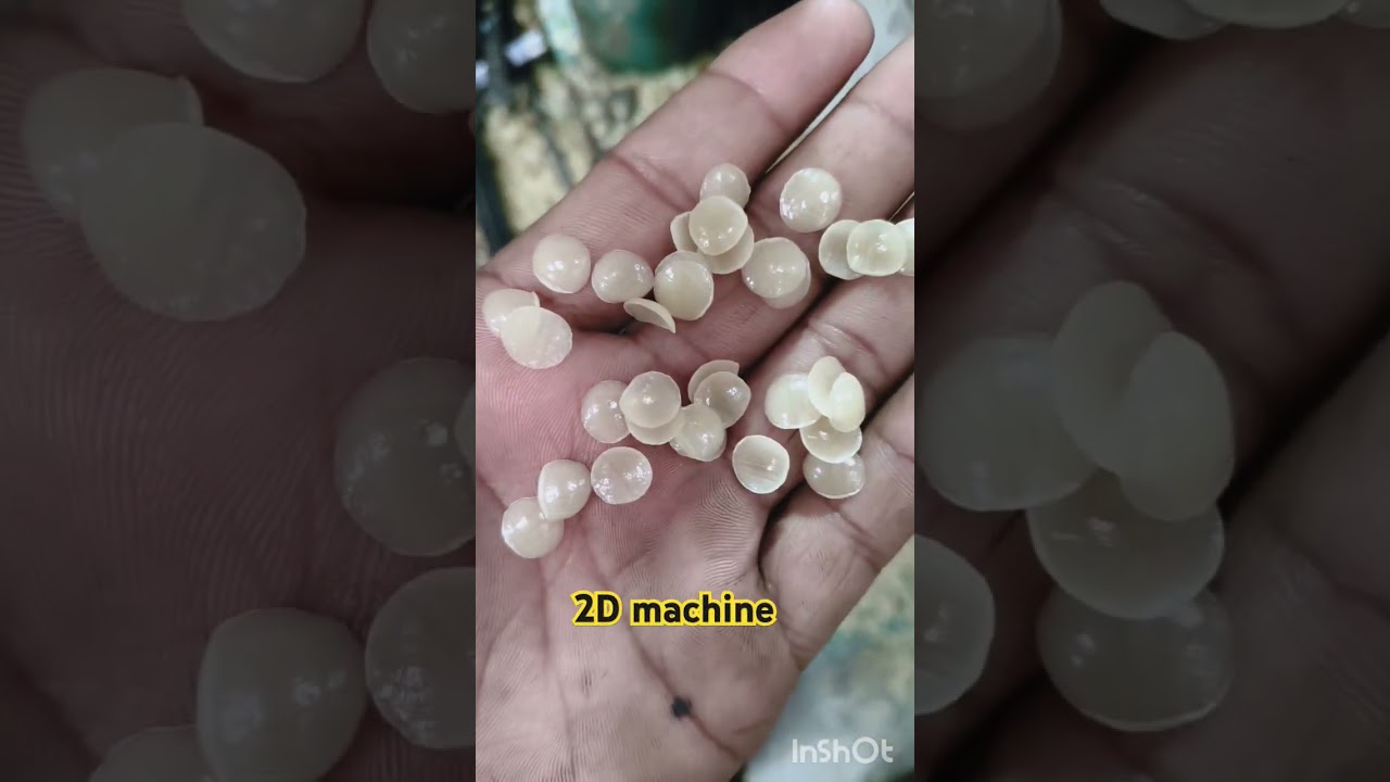 papad chips kese bante hai 2D machine per micro katori 