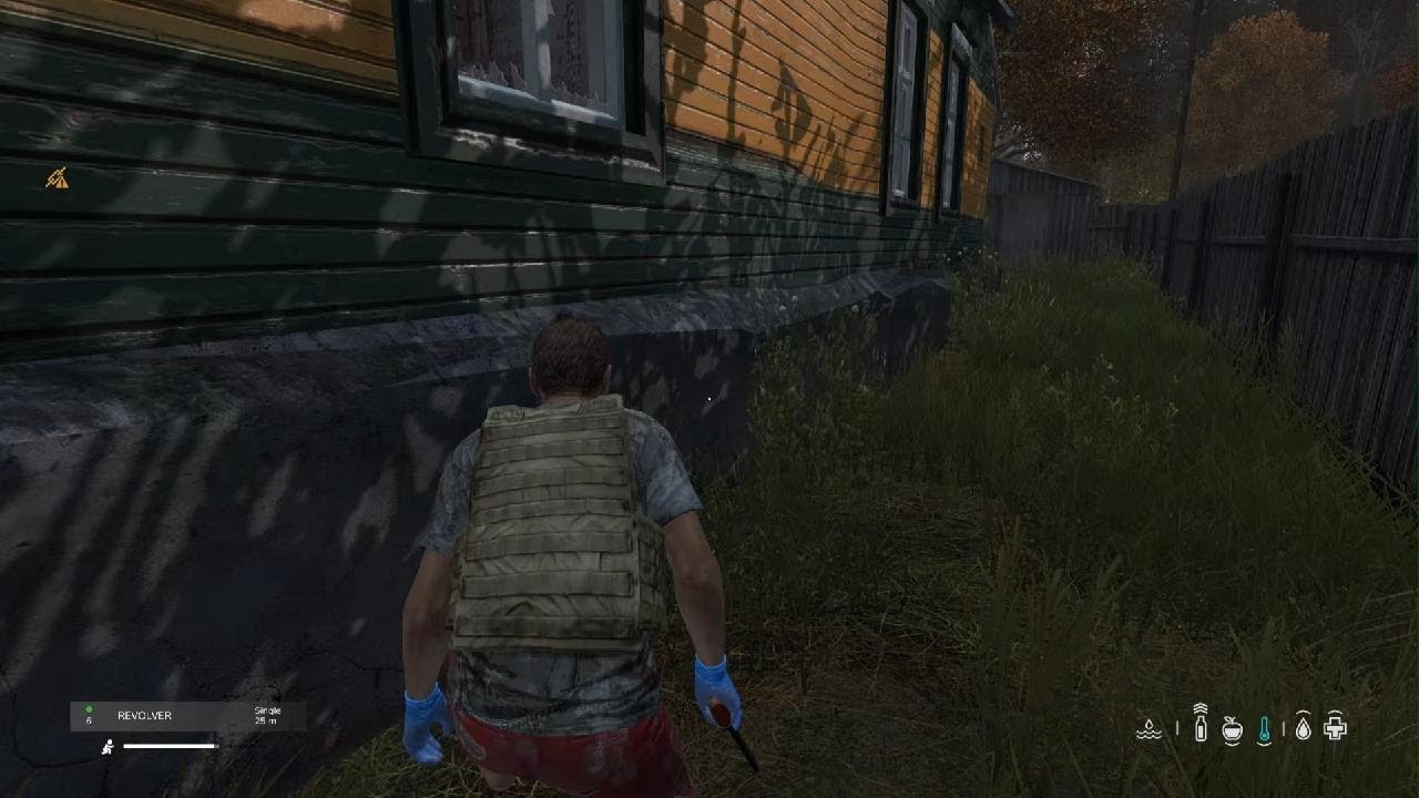 DayZ_20260125155850