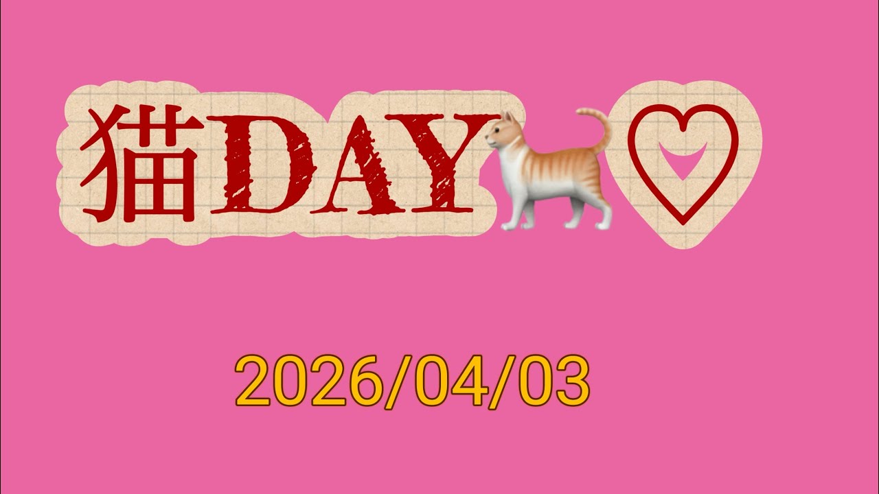 【vol.猫DAY🐈♡#猫 #癒し#可愛い 