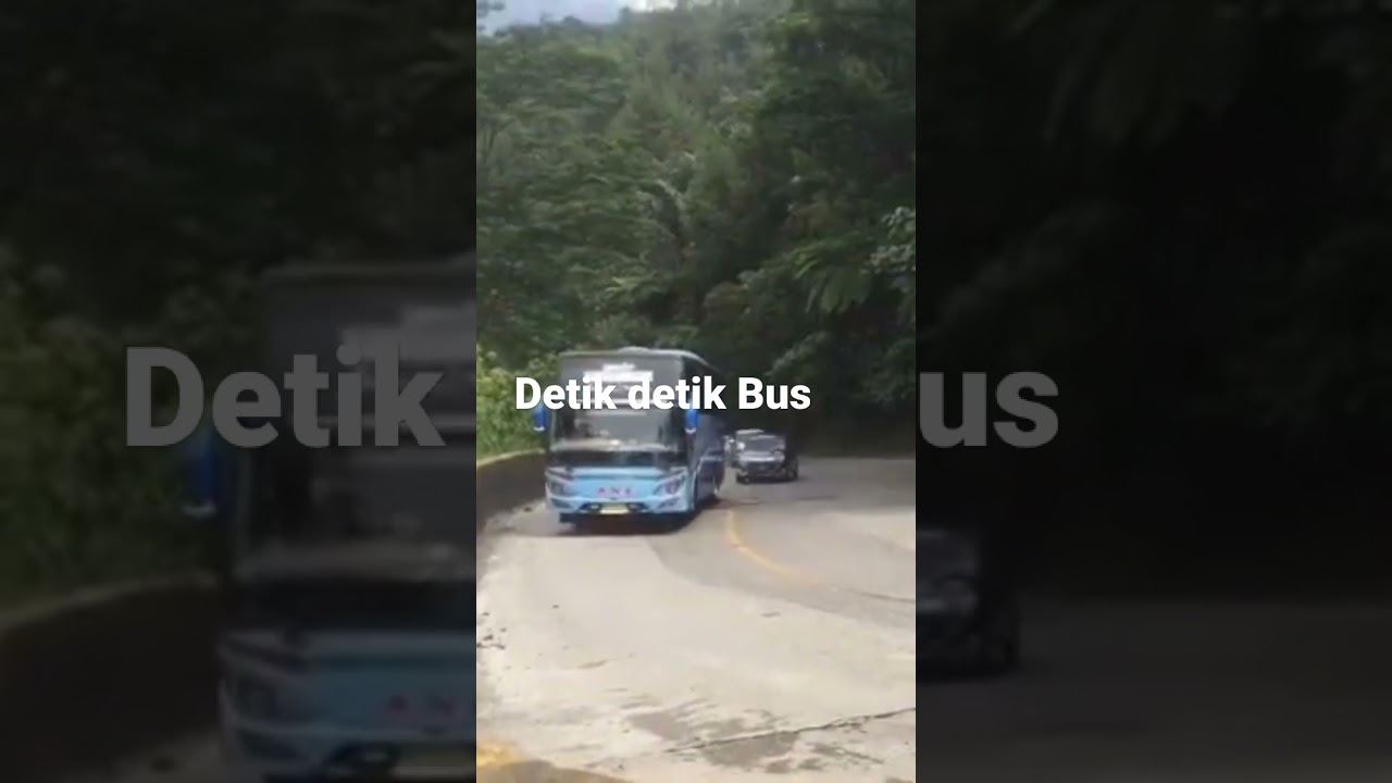 #sumaterabuslovers #bissumatera #medanbisser #bussumatera #bismaniaindonesia #busmaniacommunity
