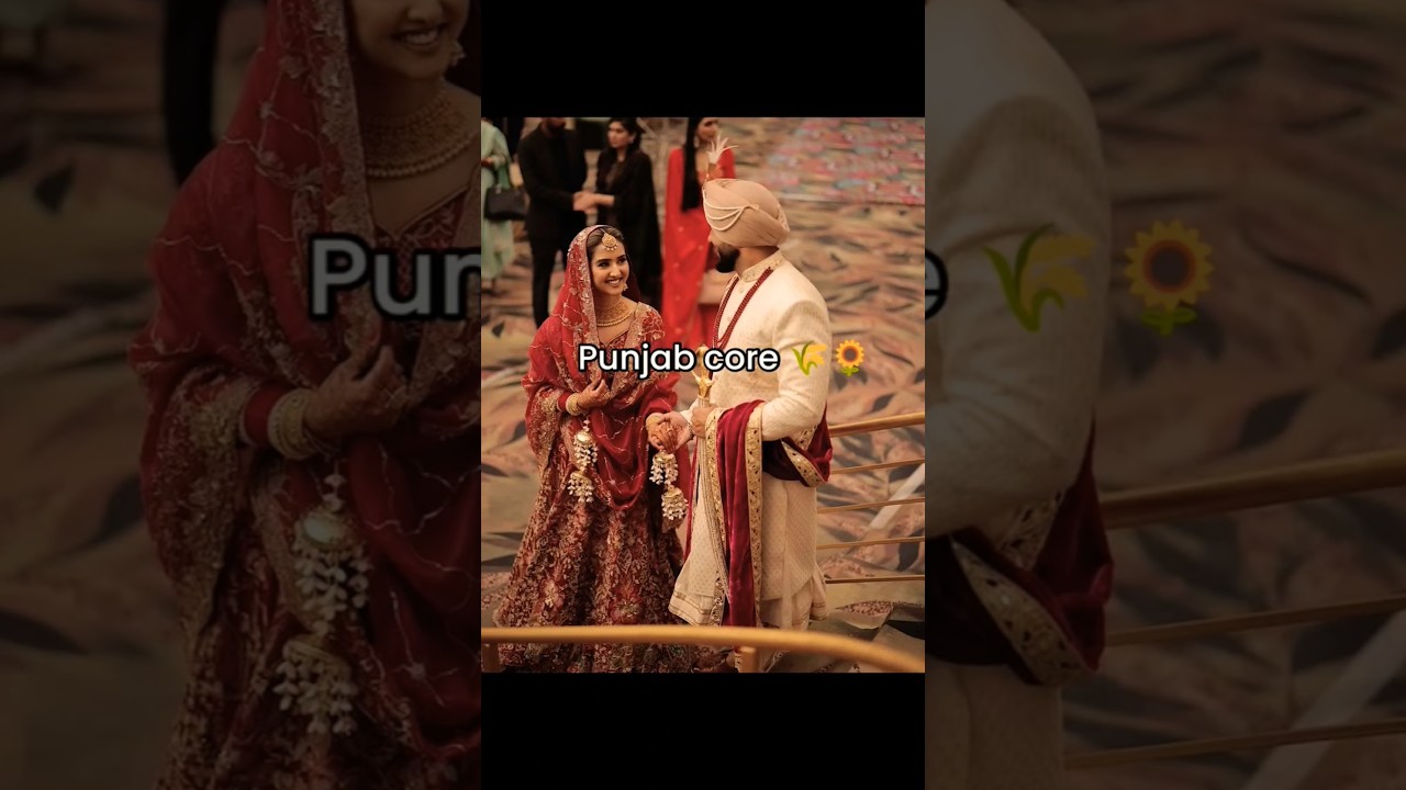 punjab core 🌾🌻#shorts #viral #punjabiculture #aestheticedit #indianculture