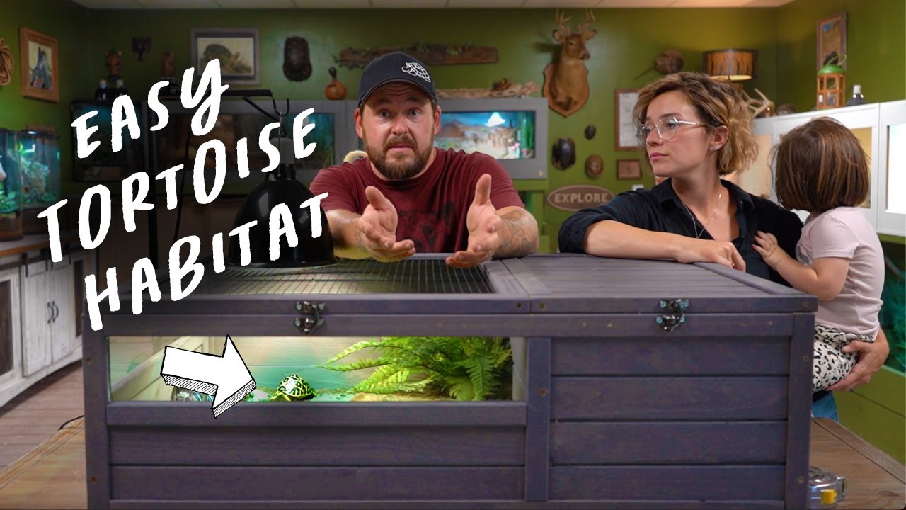 EASY, SIMPLE Tortoise Habitat (BONUS VIDEO)