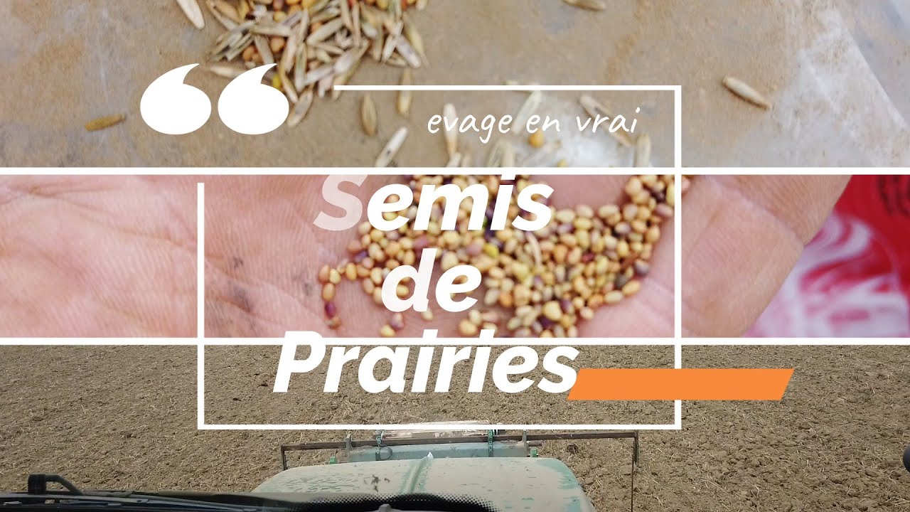 Semis de Prairies