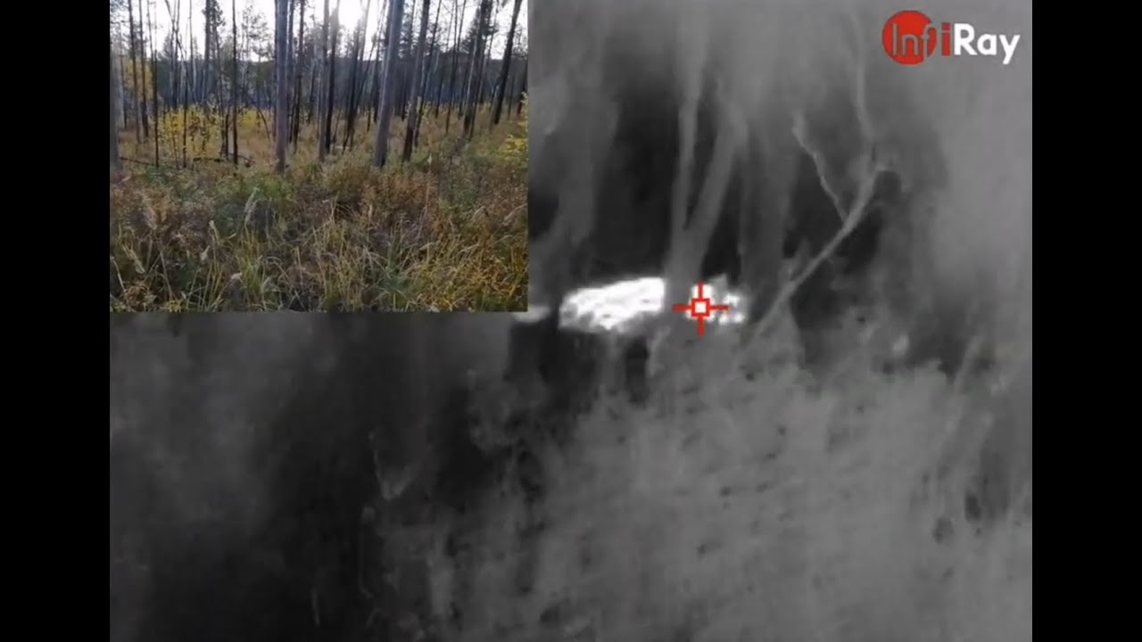 100 meters to find a deer and shoot with thermal monocular Infiray T2 pro