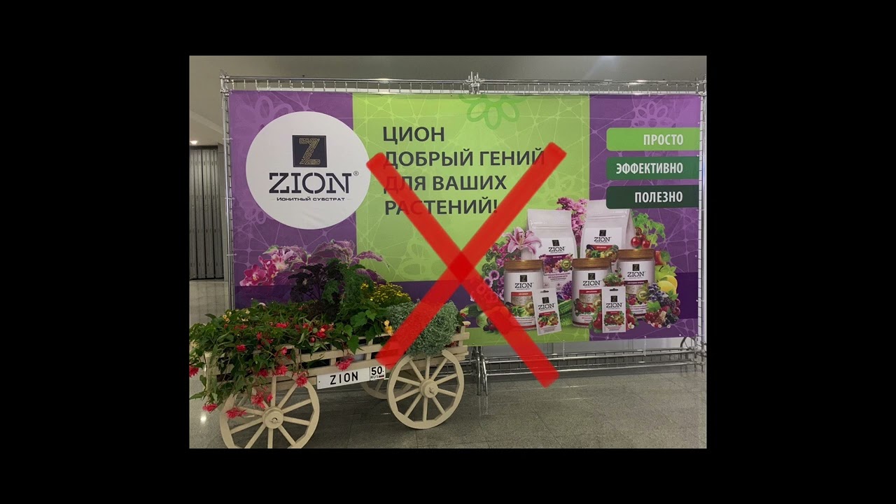 Цион и цеолиты. Суперудобрение или развод на деньги?