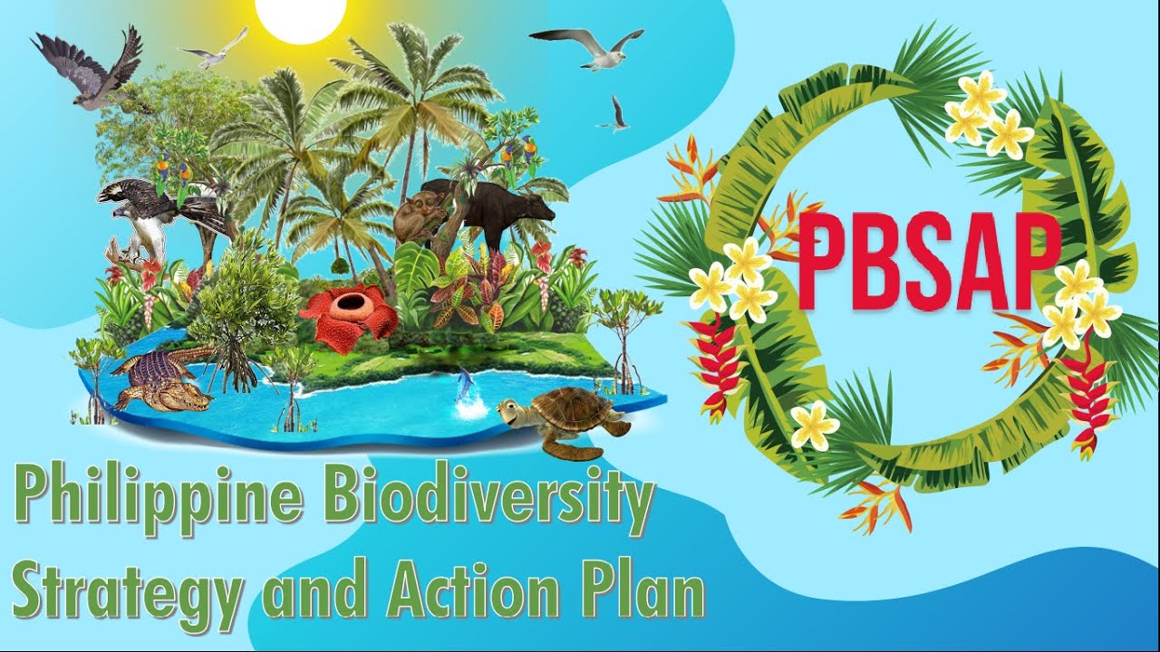 Philippine Biodiversity Strategy and Action Plan