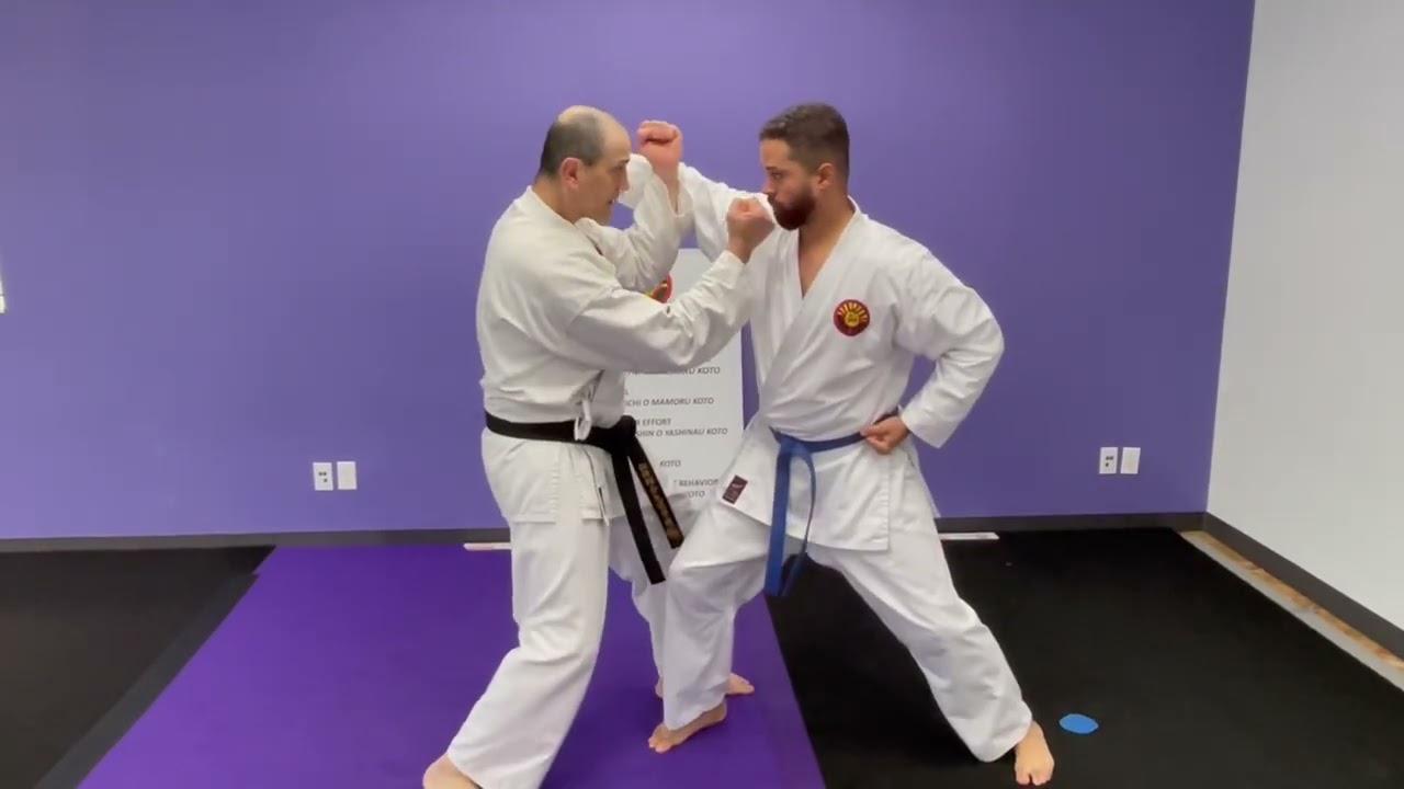 #356: How to stop a punch using two different Karate clinch techniques.