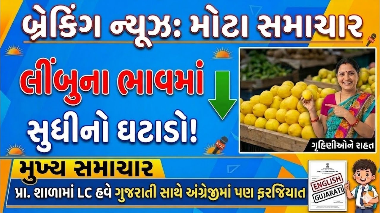 આજના મુખ્ય સમાચાર: લીંબુના ભાવમાં ઘટાડો #mabgujarati #latestnews #gujaratiupdate #ખેડૂત #લીંબુ 