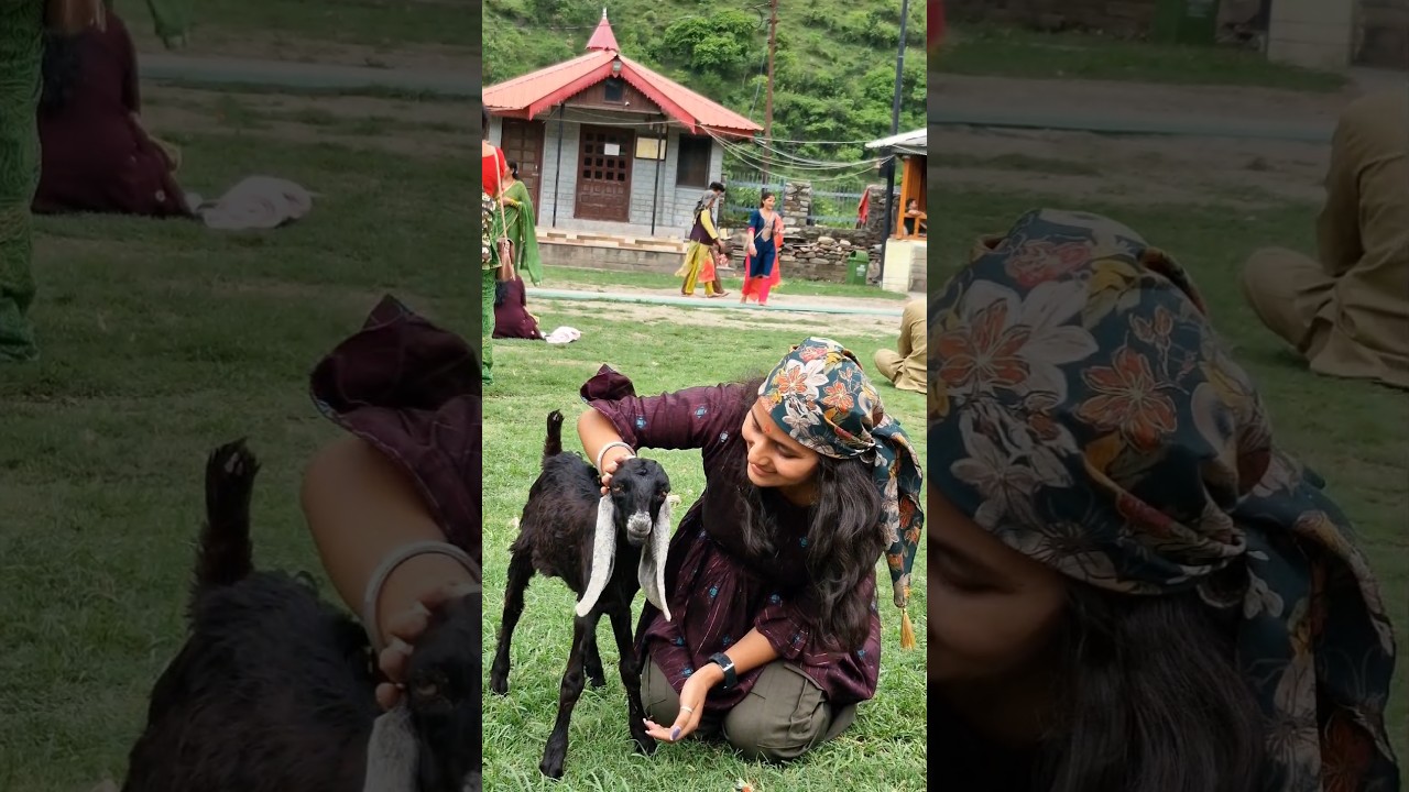 Mahasu Devta Temple 📍A 4am trip part 2 #story #minivlog #uttrakhand #explore #hanol #storytelling