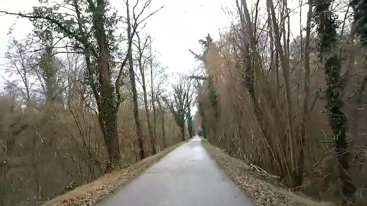 Sur la piste cyclable du canal du Rhône au Rhin Mardi 24 Février 2026 une vidéo de@Monsieur.STOCKER
