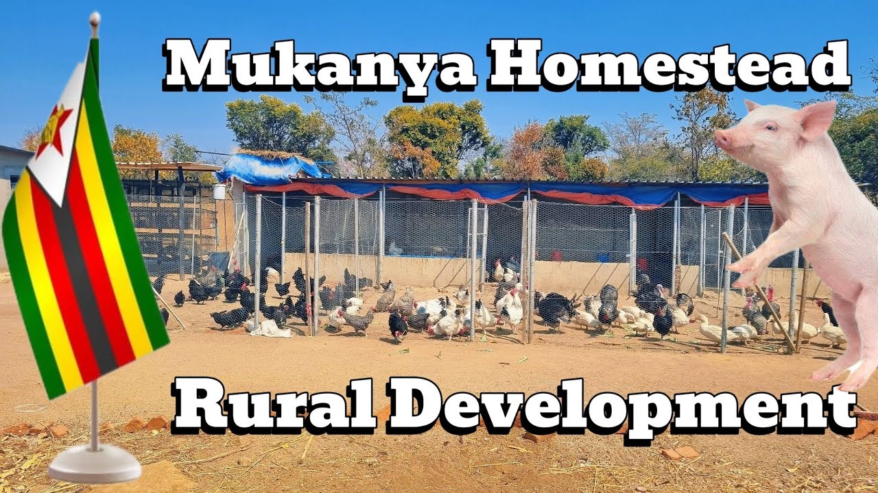 How He Is Investing Back In The Rural Areas Of Zimbabwe 🇿🇼 While Working In USA 🇺🇸 For 20+ Years