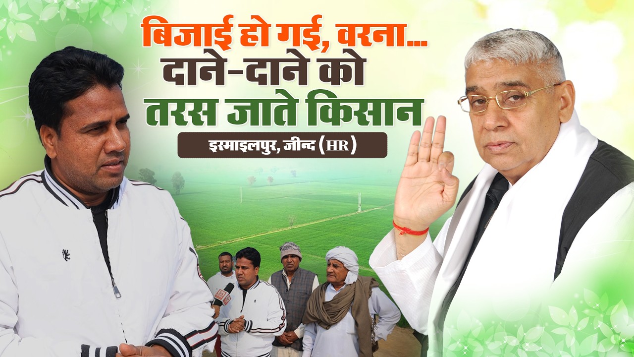इस्माइलपुर, जींद (HR) ग्राउंड जीरो रिपोर्ट: जहाँ 3 फुट गहरा समंदर था, वहाँ अब लहलहा रहे हैं गेहूं।