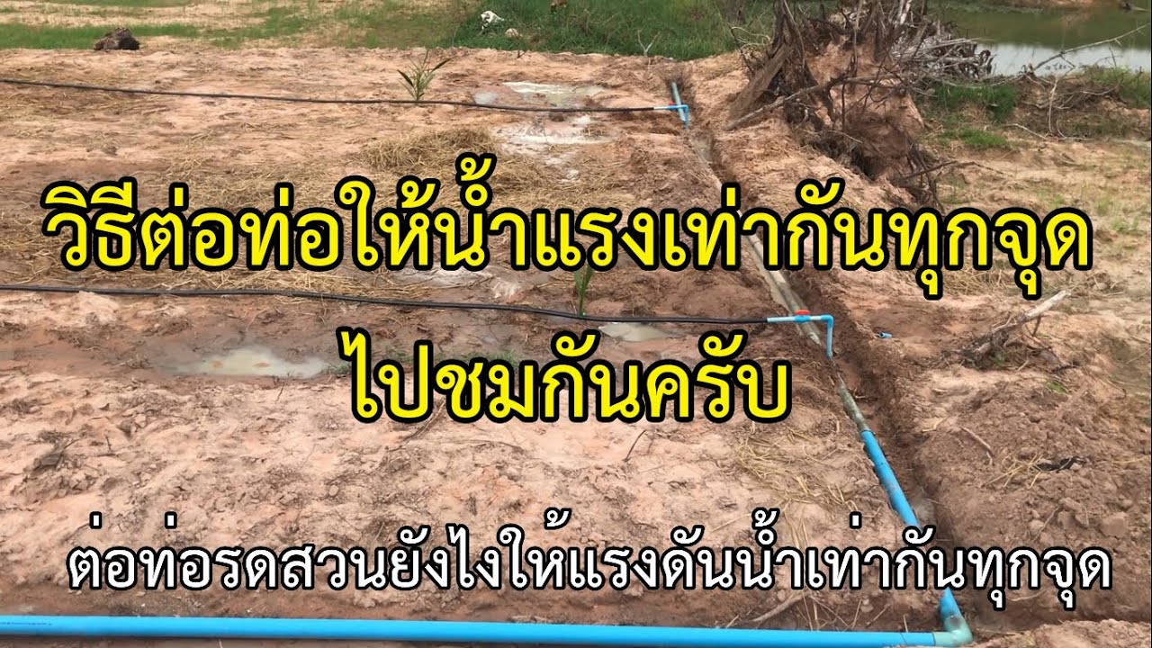 ต่อท่อน้ำรดสวนยังไงให้แรงดันน้ำเท่ากันทุกจุด ไปชมกันครับ