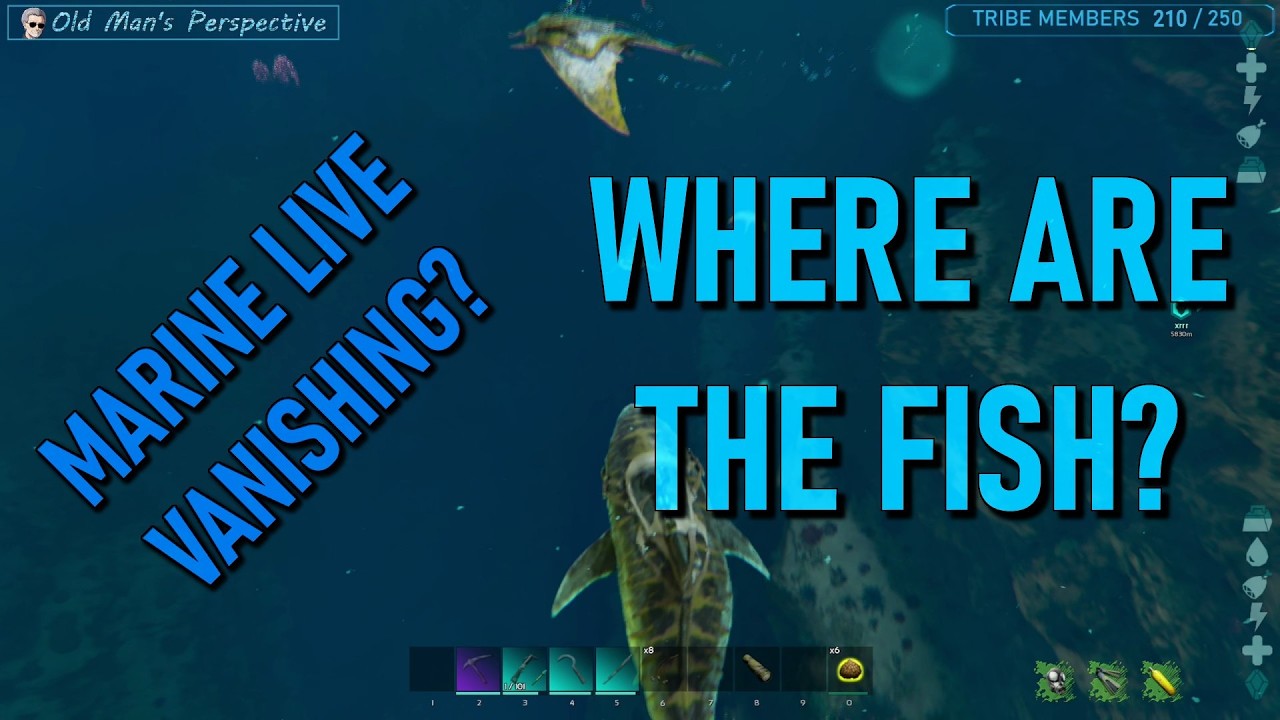 The Fish Have Vanished… What Happened to the Ocean! - Ark Survival Ascended - The Island (EP259)
