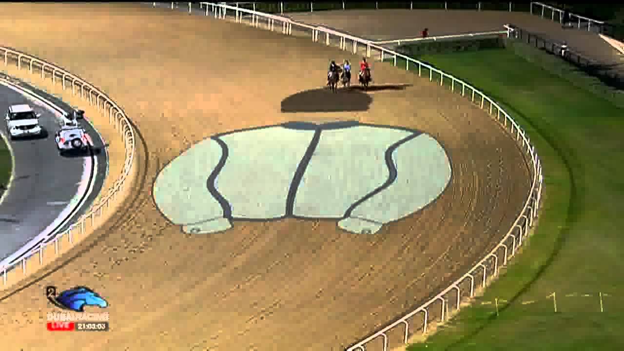 28.03.2015 Meydan (Dubai-UAE) 9.Race The Dubai World Cup 2015 - Group I 2.000 m