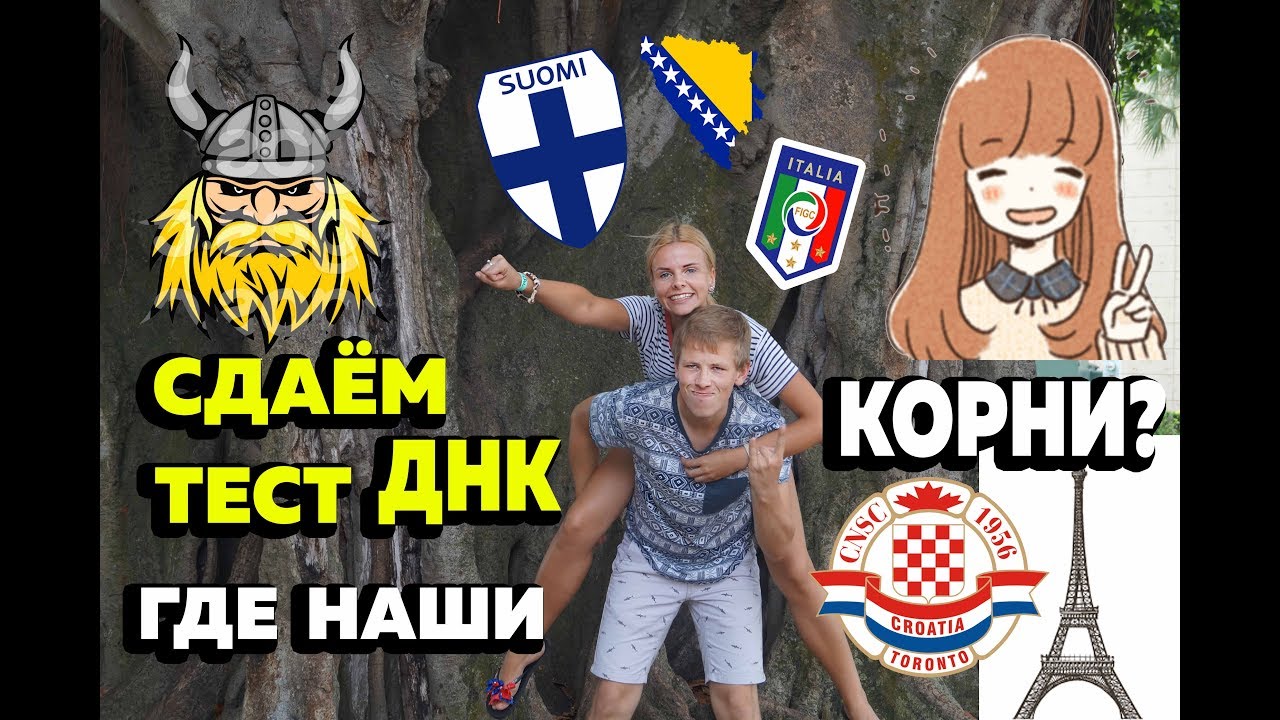 Тест ДНК на происхождение: Дима - японец, а я - викинг?