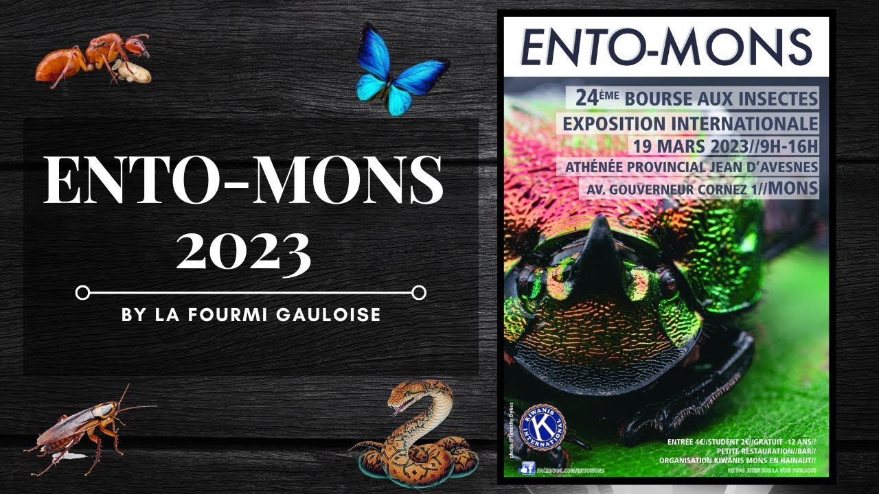 Ento-Mons 2023 - 24ème bourse aux insectes - Belgique Exposition internationale .