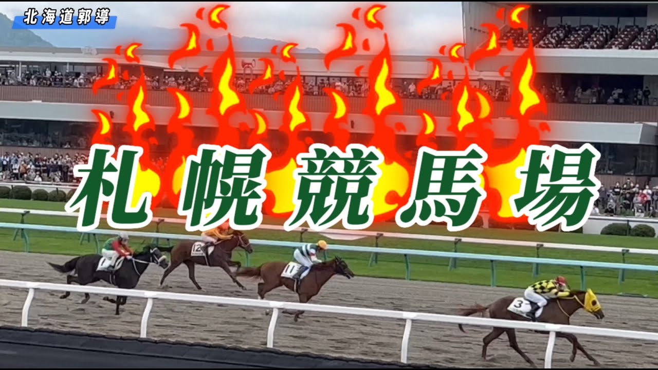 札幌競馬場、馬的身材超好！速度超快！
