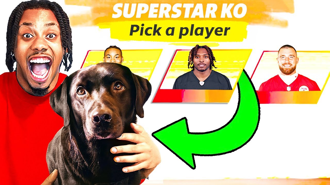 My Dog Drafts My Superstar KO Team!!!