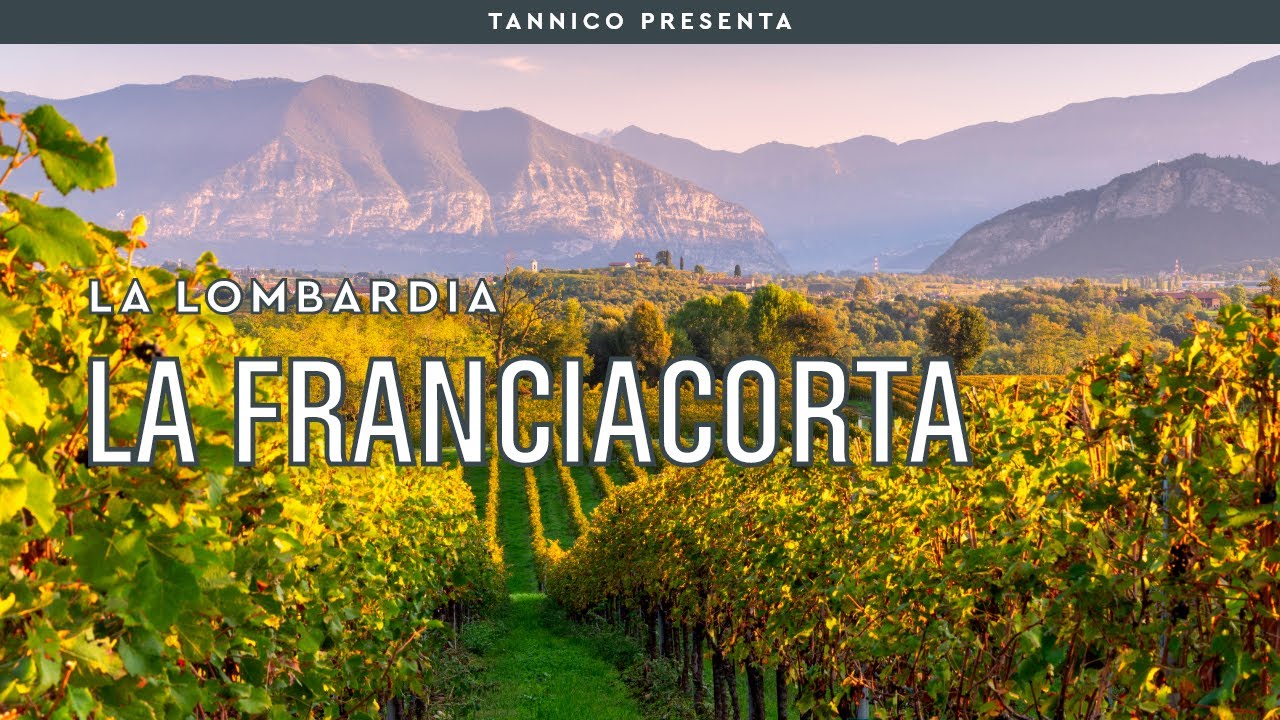 La Franciacorta: Metodo Classico, visione e grandi produttori | Tannico