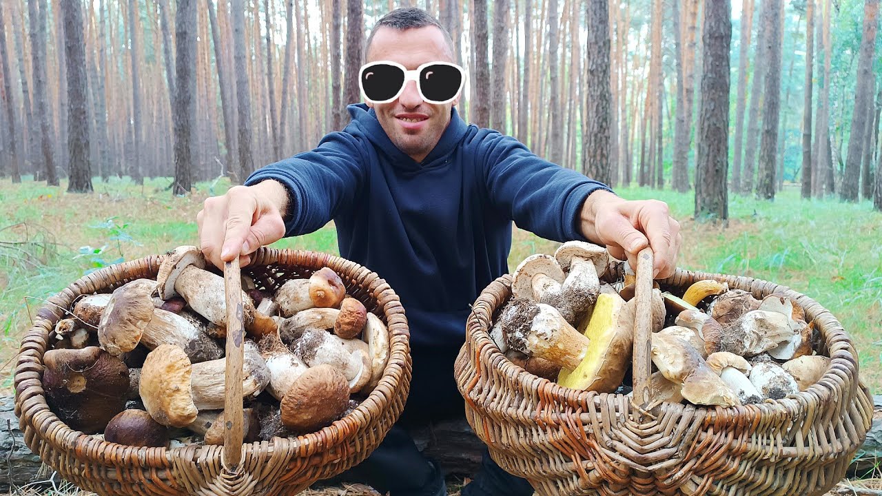 ЗНАЙШОВ ПОЛЯНУ НЕТРОНУТИХ БІЛИХ ГРИБІВ !!! МРІЯ КОЖНОГО ГРИБНИКА !!!
