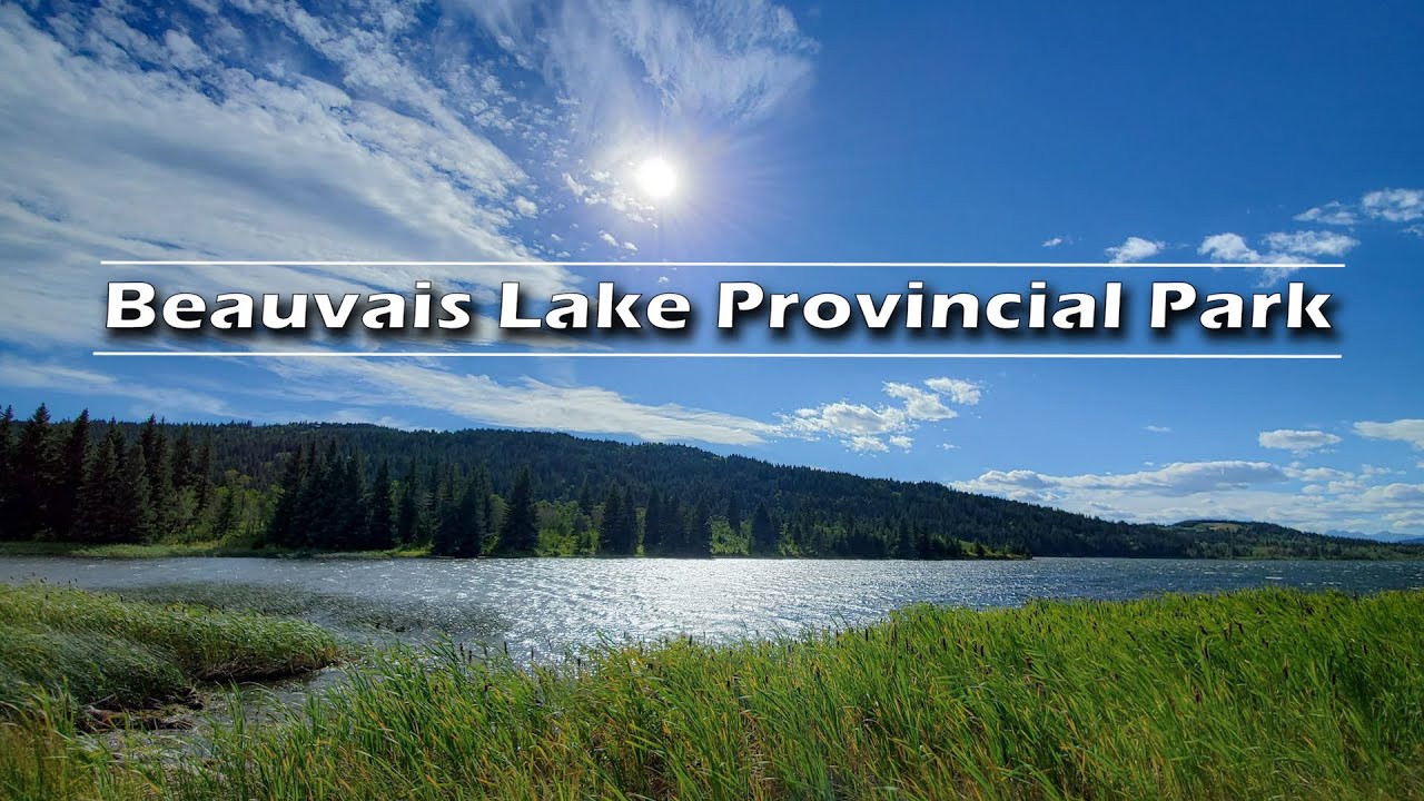 Beauvais Lake Provincial Park Camping | Journey Alberta