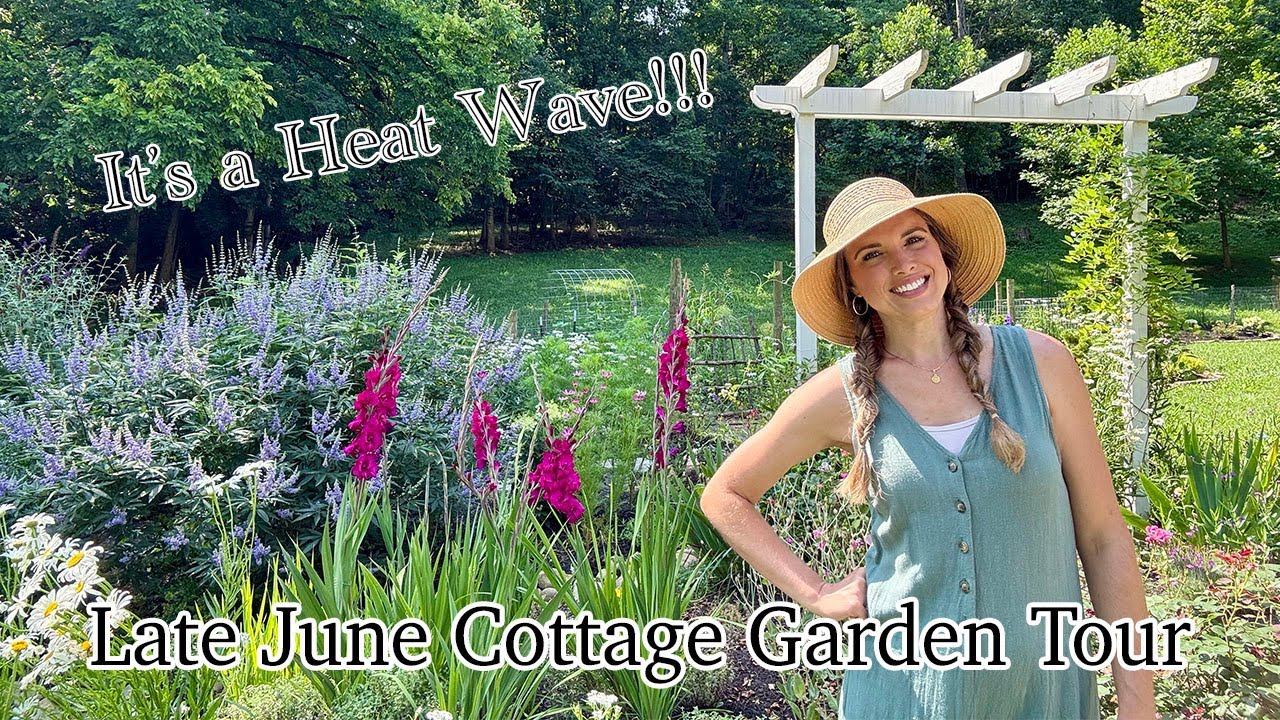 End of June Cottage Garden Tour. 2025 It’s a HEAT WAVE! Summer Flower Garden Tour ☀️
