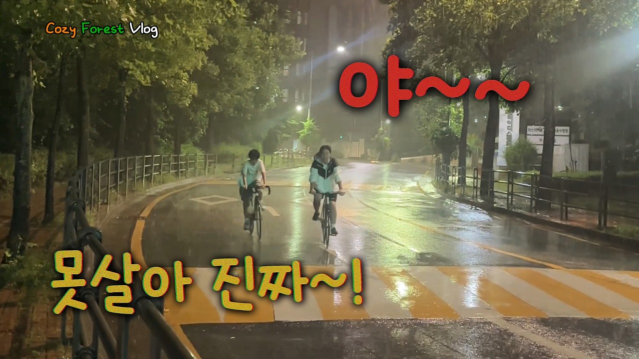 주부vlogㅣ혼자 북치고장구치는 주부일상ㅣ5도2촌ㅣ맘편할날없는 아들둘맘ㅣ삼겹살,차돌된장찌개,그릭요거트,마녀스프,간편샌드위치ㅣ강아지와의일상ㅣ자두씨 발아도전ㅣ