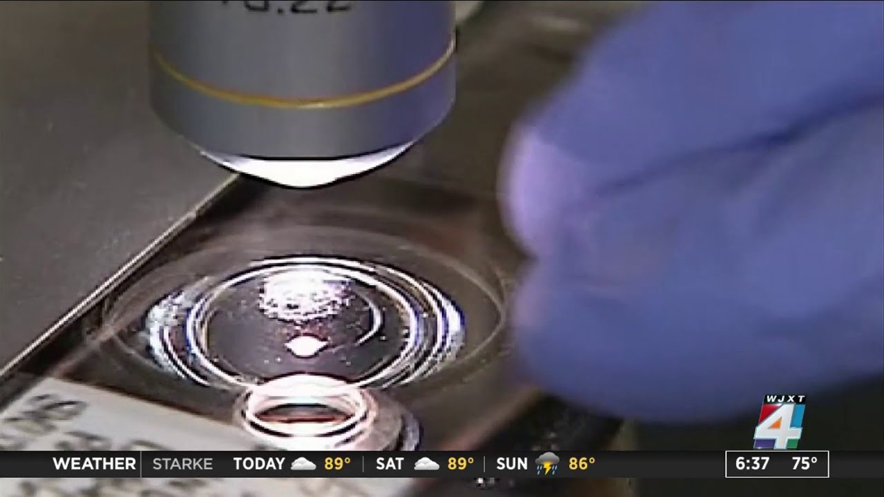 Florida leads nation in new HIV cases