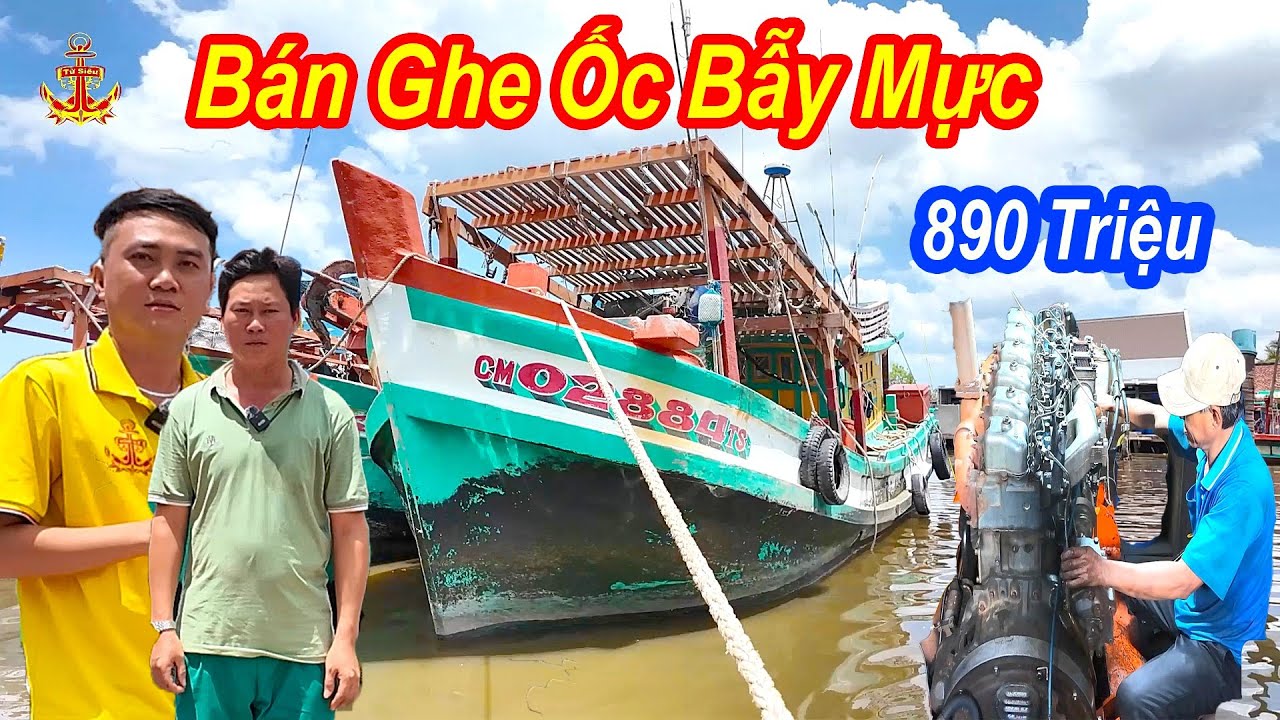 Bán Ghe Ốc 890 Triệu Bao Ngon Và Chất Lượng || Thích Hợp Làm Nhiều Nghề