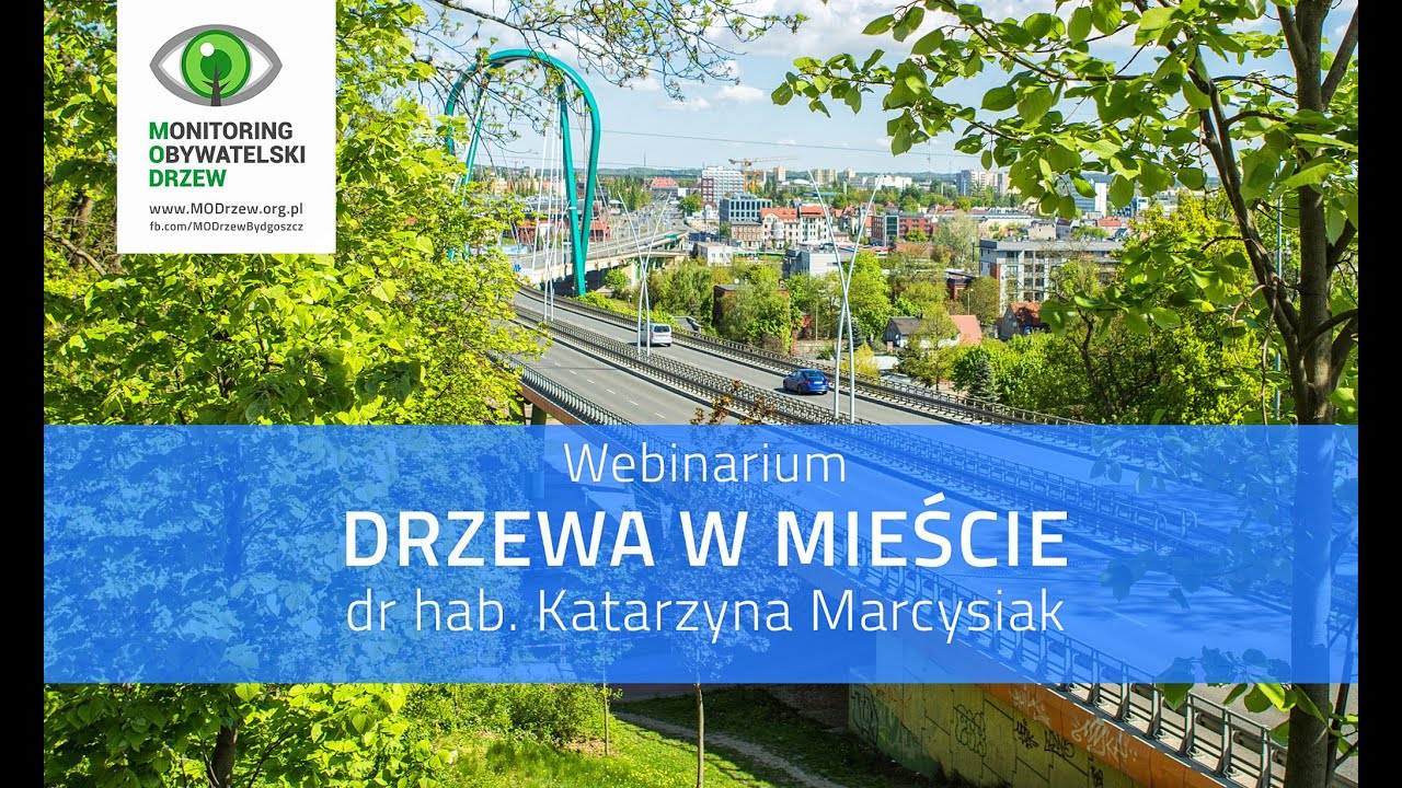 Webinarium 