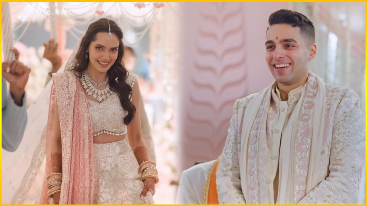 Housefull Actress Shazahn Padamsee And Ashish Kanakia Wedding Inside Video