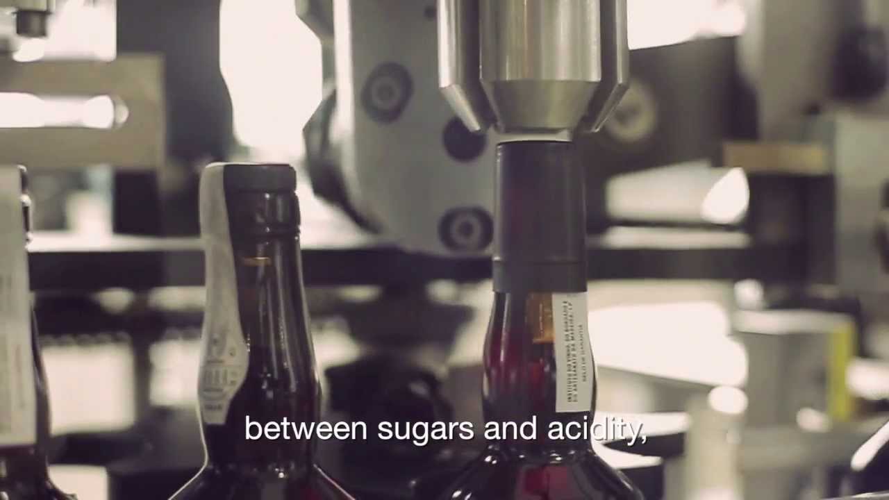 JUSTINO'S MADEIRA WINES ENG HD - Not easy to make wines like this.