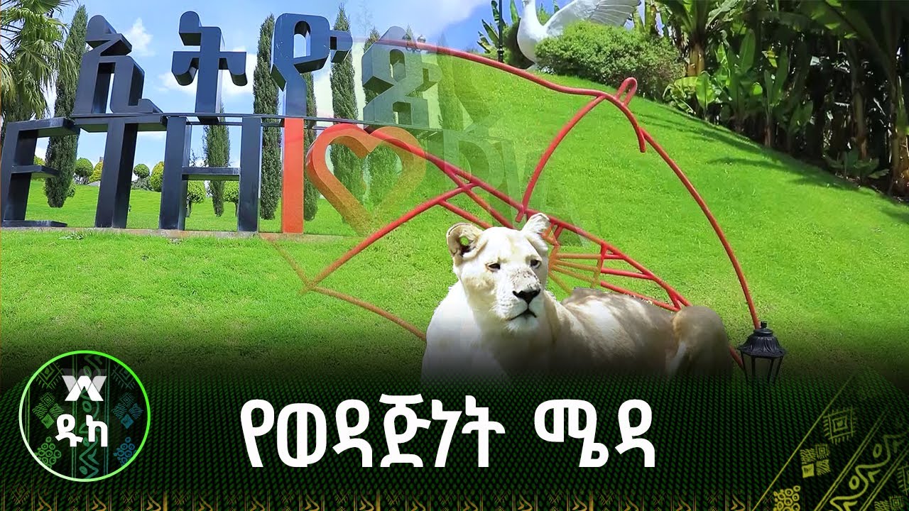 የወዳጅነትን ሜዳ በሰባት መቶ ብር -ዱካ