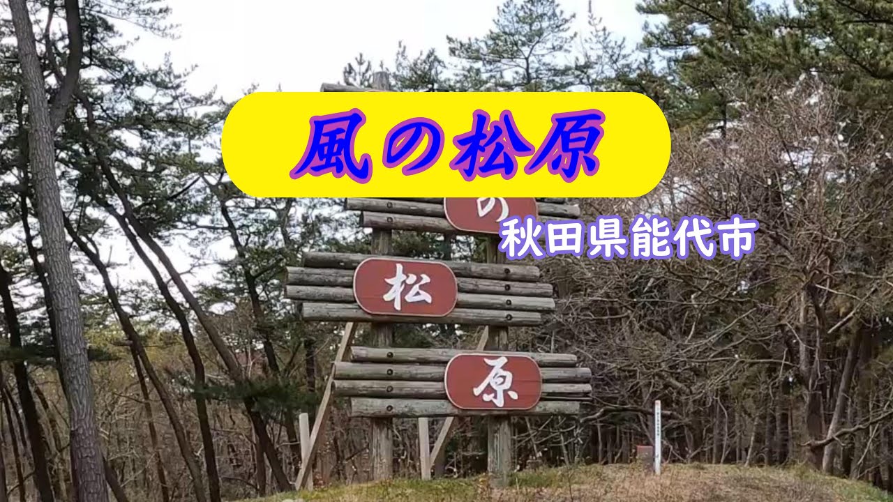 風の松原 【秋田県能代市】