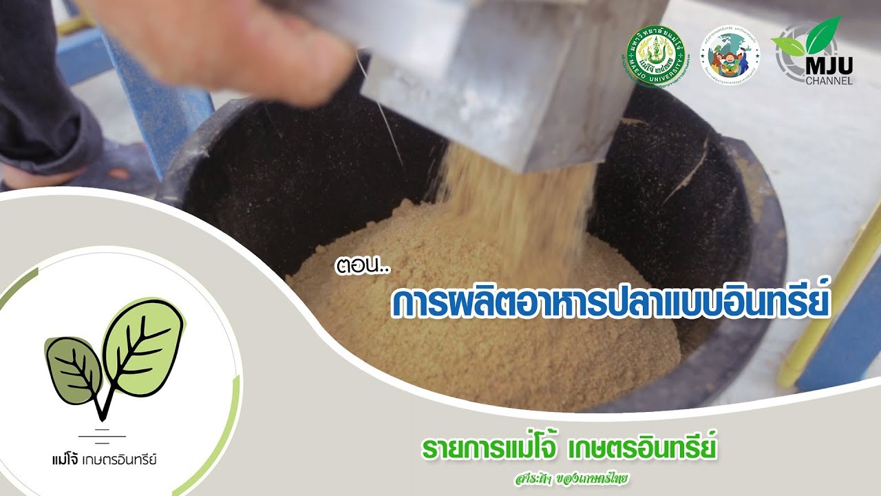 การผลิตอาหารปลาแบบอินทรีย์ | ลดต้นทุน ได้ปลาคุณภาพสูง ปลอดภัยต่อสุขภาพและสิ่งแวดล้อม