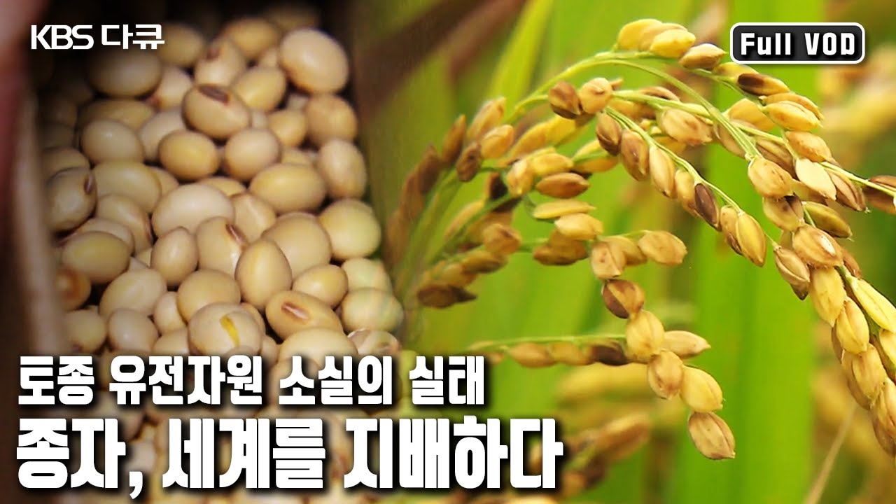 종자를 지배하는 자가 세상을 지배한다! 종자의 사유화가 어떻게 진행되어왔고, 토종 종자의 가치와 보존을 위한 바람직한 방안을 제시하고자 한다.  (KBS 20110227 방송)
