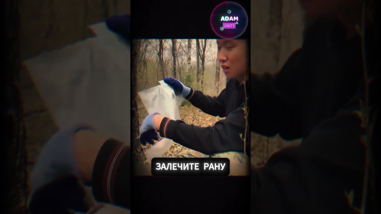 Правильный сбор березового сока. #bushcraft