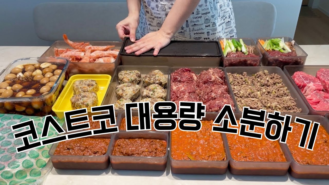 [EP30] 26주차 임산부ㅣ코스트코 장보기ㅣ대용량 소분ㅣ코스트코 다짐육 활용ㅣ코스트코 불고기ㅣ밀프랩ㅣ밀키트