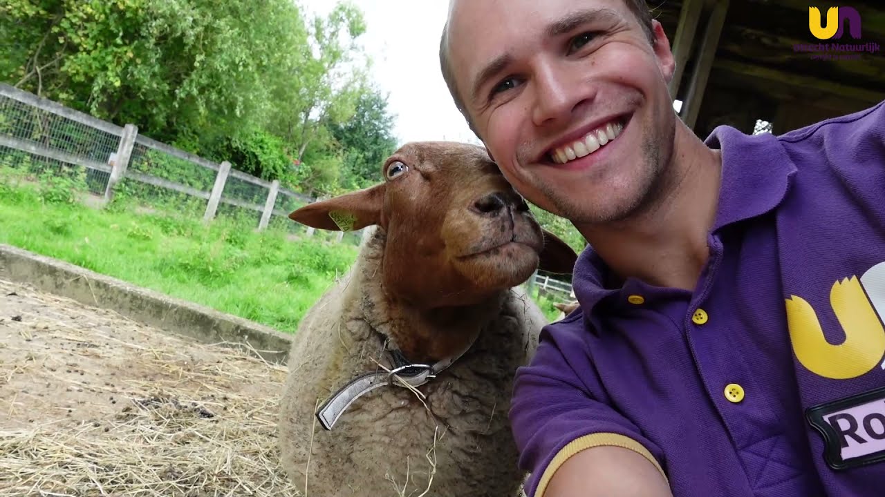Boerderij Inspectie | Schaap | Koppelsteede