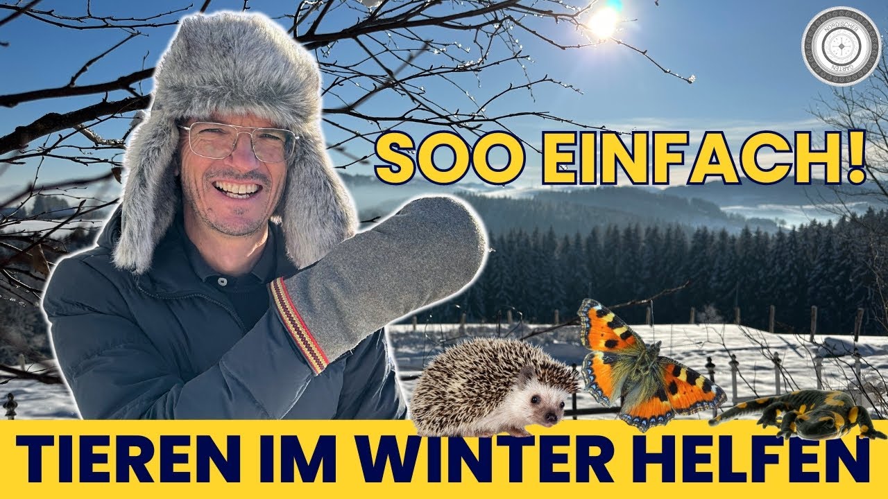 GENIAL - SO EINFACH unterstützt du TIERE im Winter 🐦