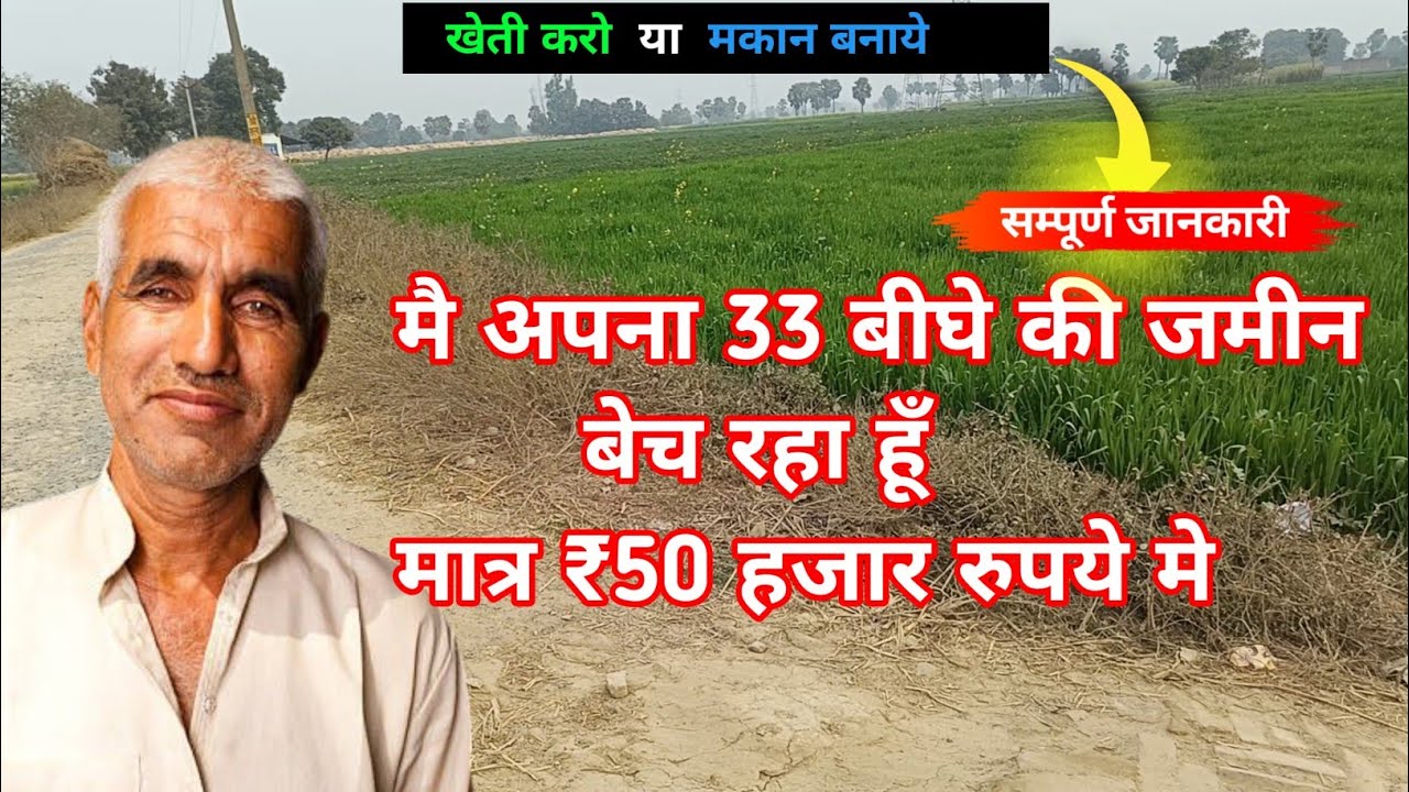 33.बीघा जमीन बिकाऊ हैं मात्र ₹50 हजार प्रति बीघा में agricultur land for sale